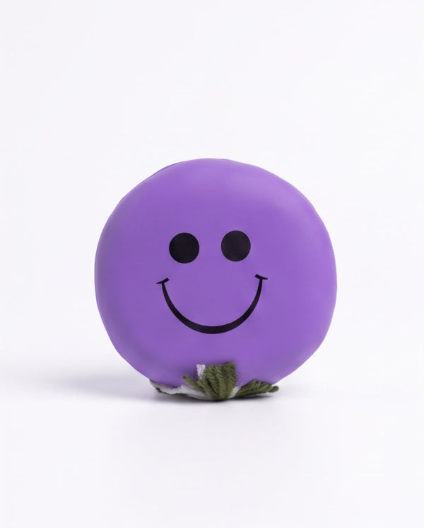 Smiley Face Pull & Stretch Interactive Toy